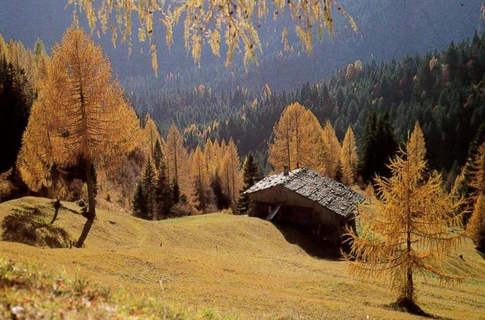 Albergo Riglarhaus Sauris Exterior foto